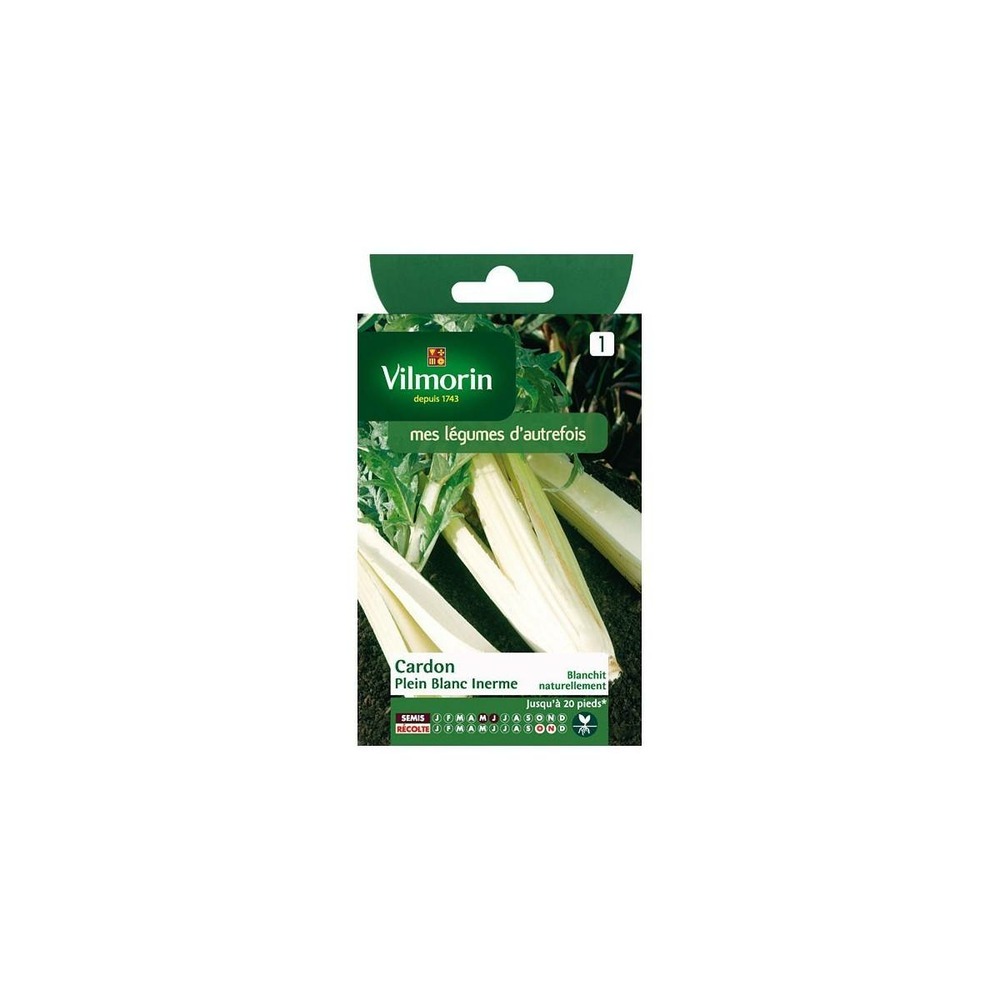 Sachet graines cardon plein blanc inerme