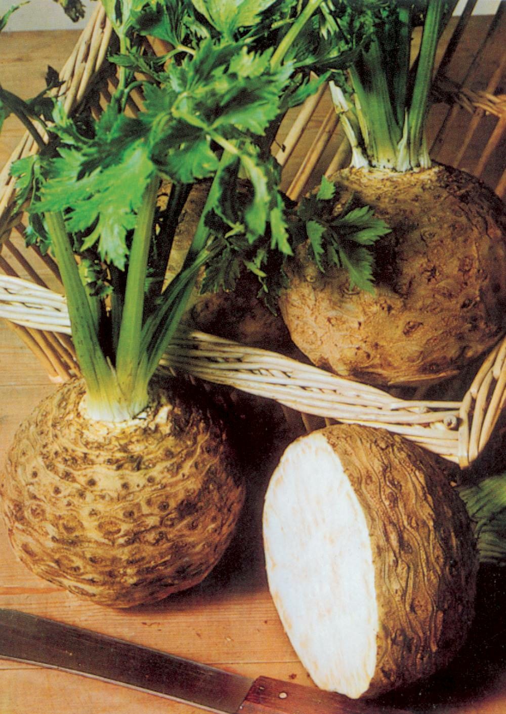 Celeri rave boule de marbre - 1 g