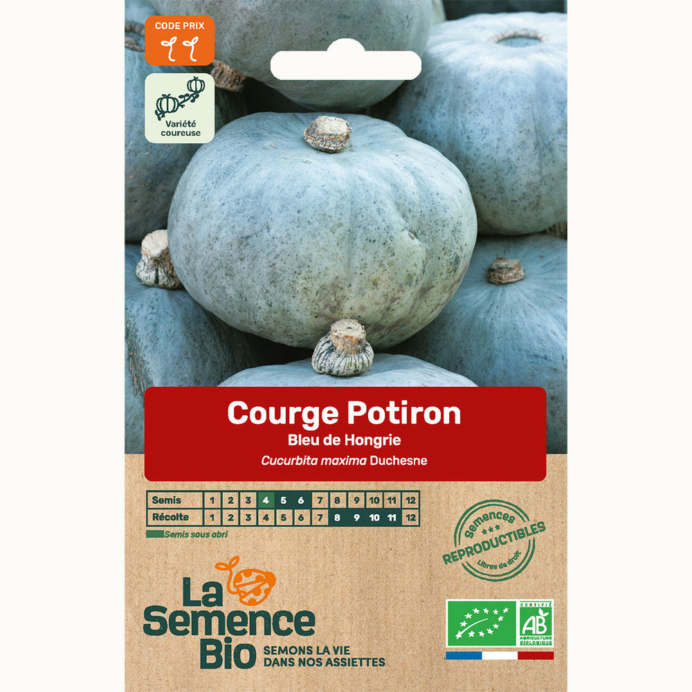 Courge potiron bleu de hongrie - graines bio