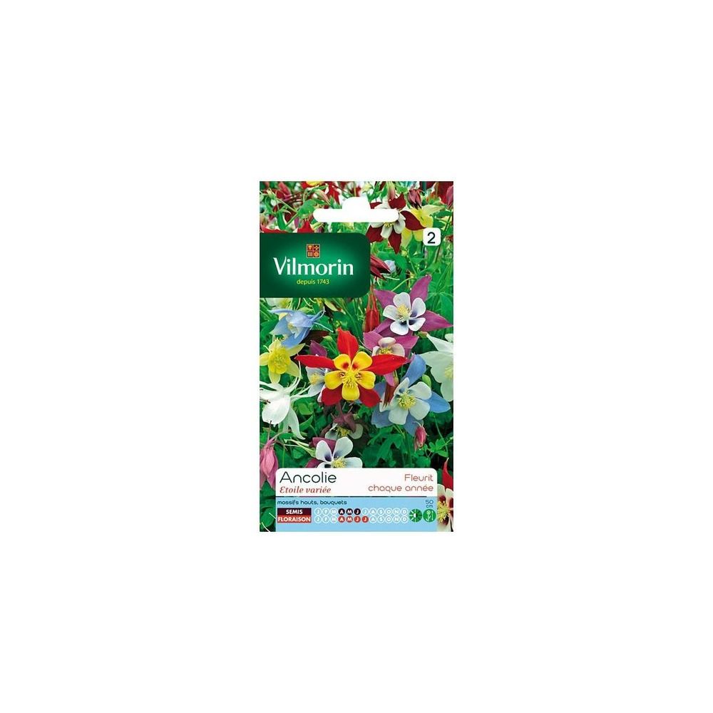 Sachet graines ancolie etoile variée