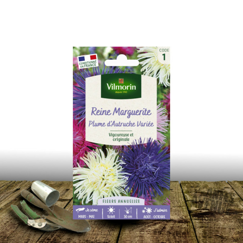 Graines de reine marguerite plume d'autruche variée - vilmorin sachet