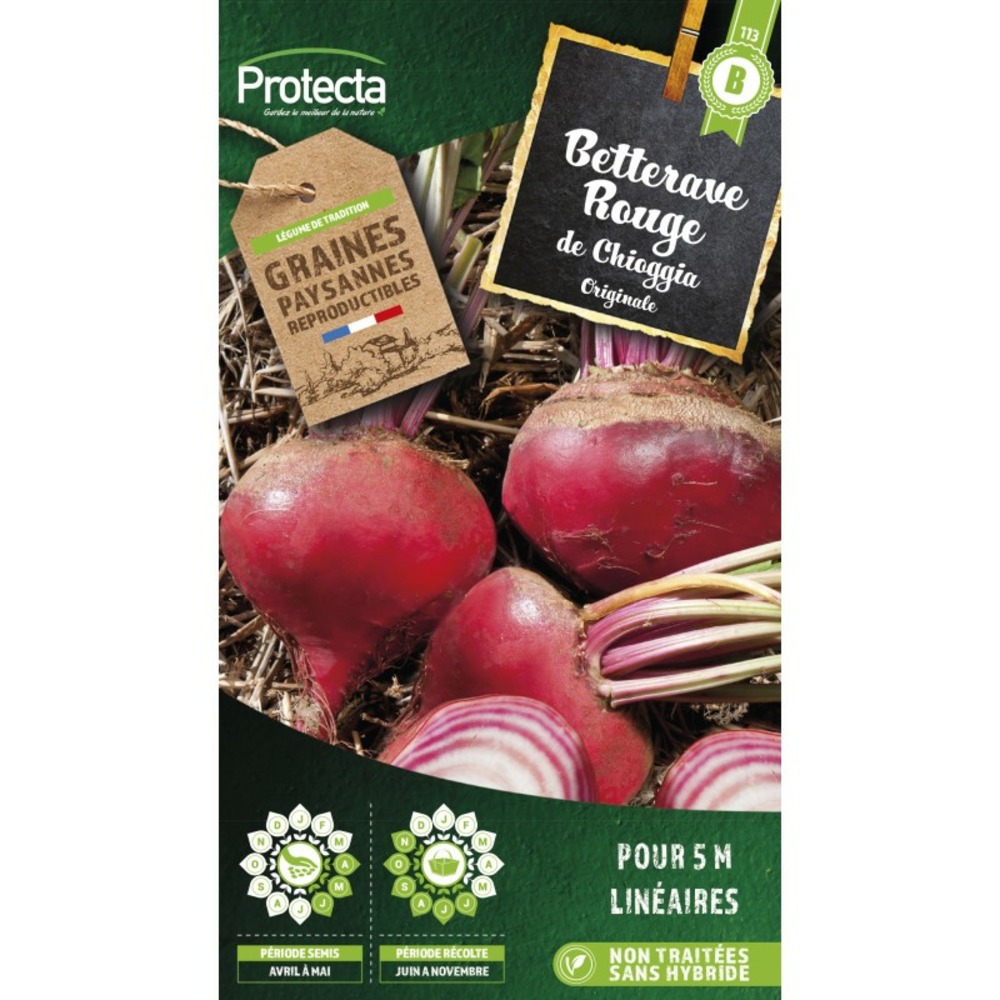 Graines paysannes - betterave ronde de chioggia