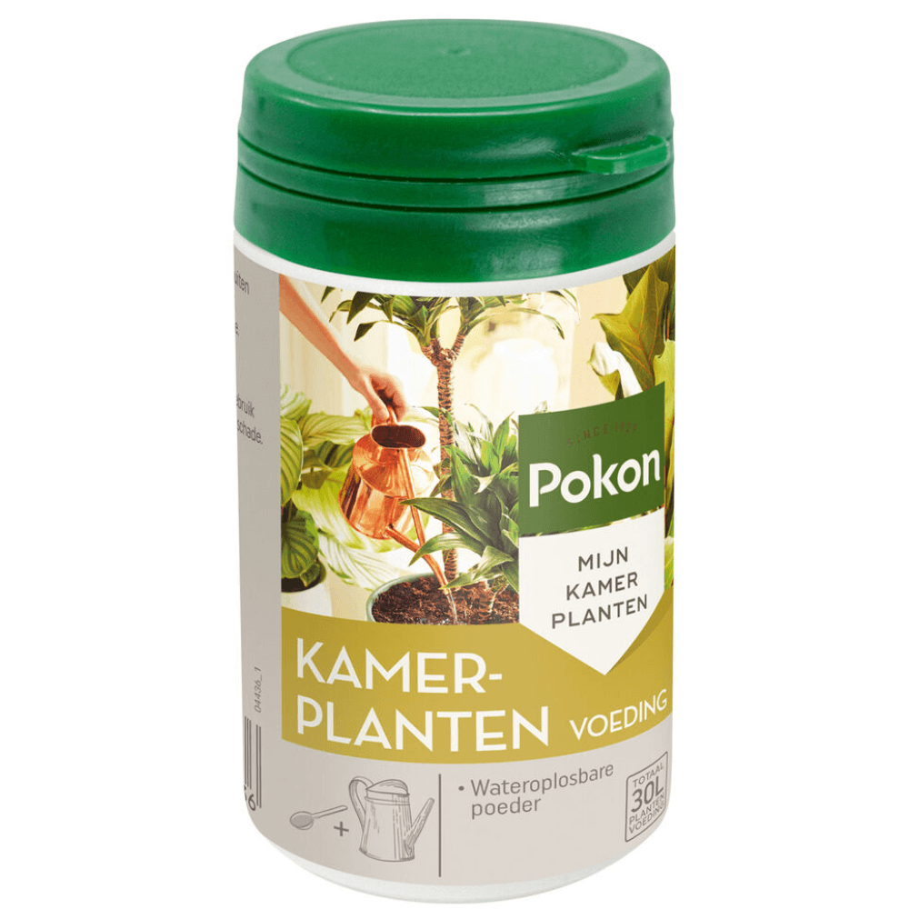 Pokon engrais pour plantes d’intérieur en poudre – 100 grammes