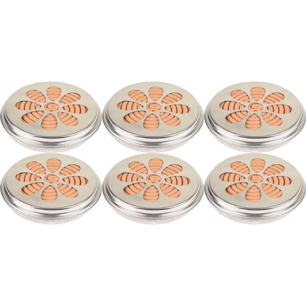 Spirales citronelle dans brûleur en métal lot de 6
