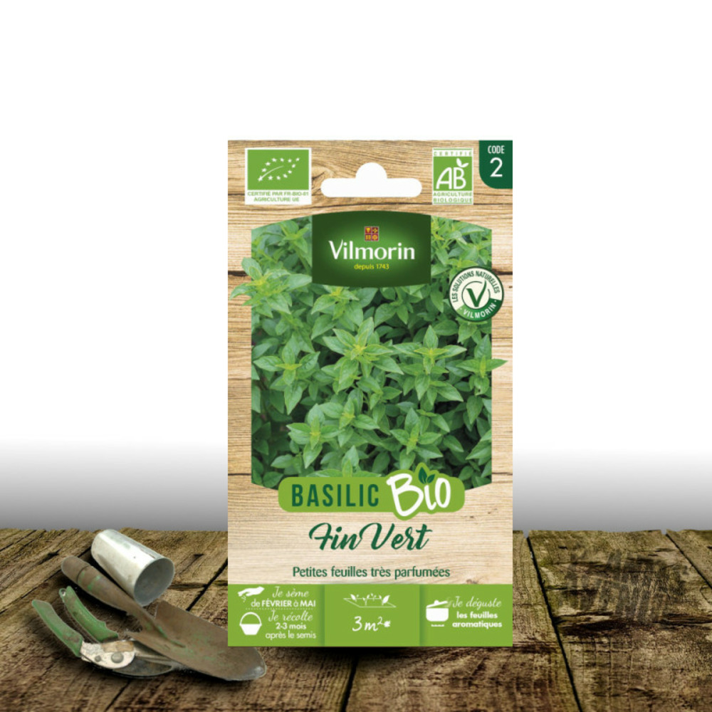 Graines de basilic fin vert - sans traitement - vilmorin sachet