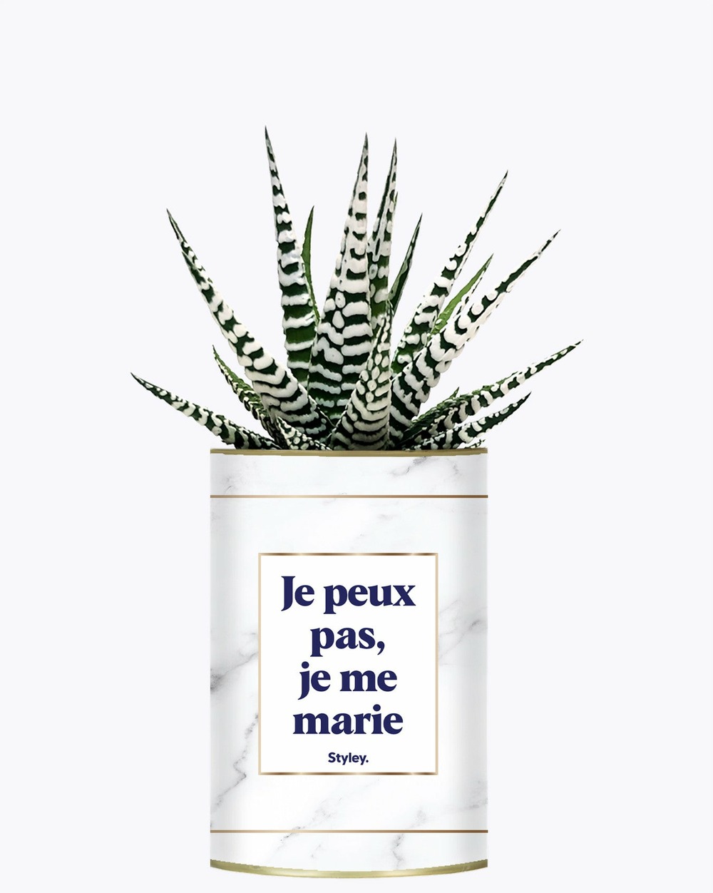 Plante drôle - je peux pas je me marie - plante