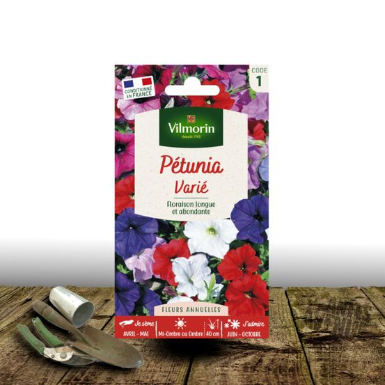 Graines de petunia varié - vilmorin sachet