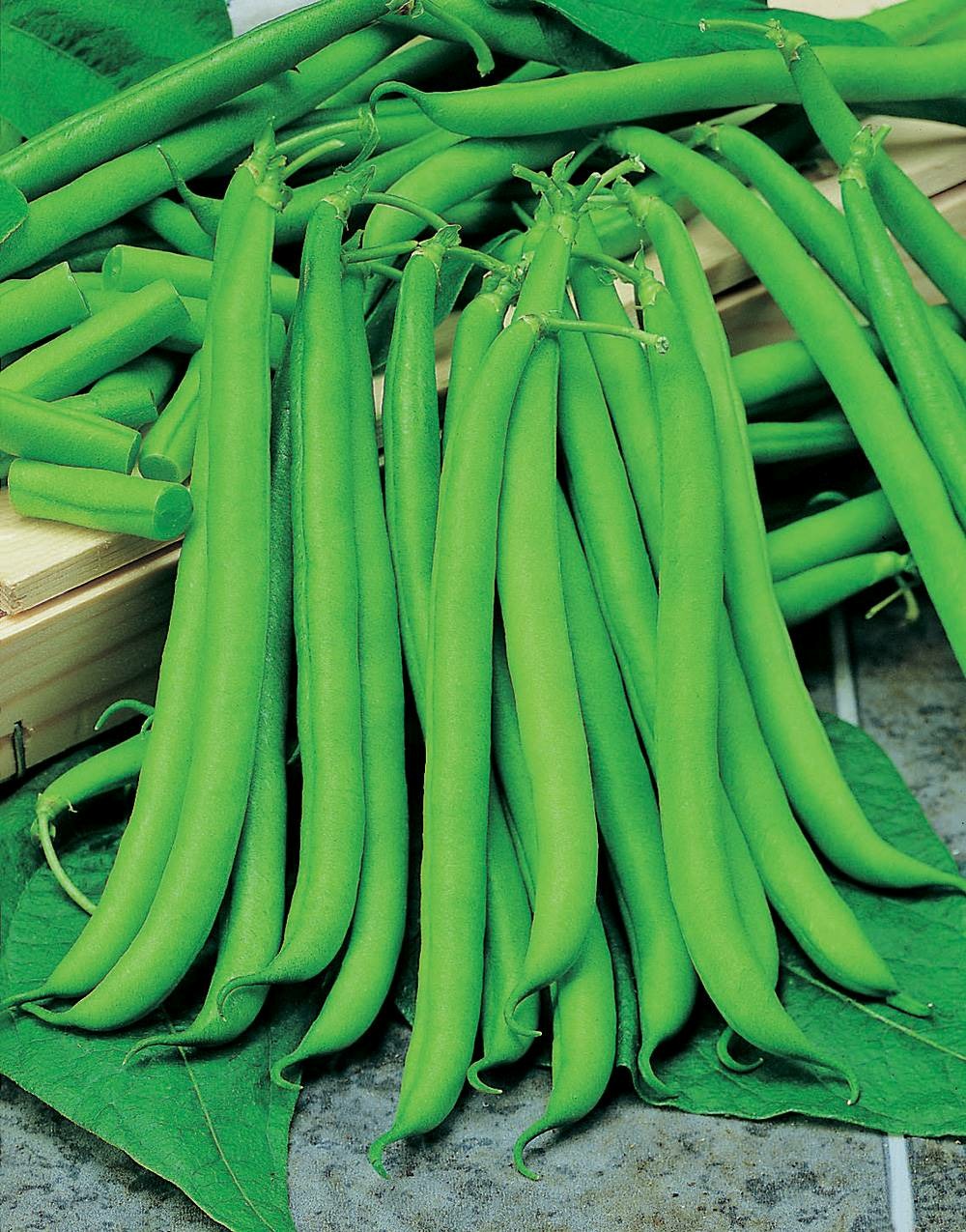 Haricot nain castandel - 150 g