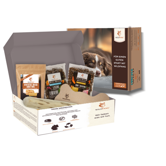 Wildfang - pack chiot « bienvenue compagnon » - s