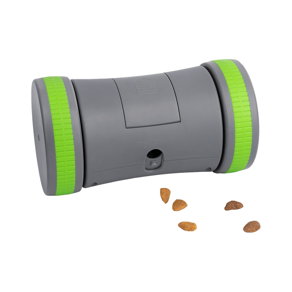 Jouet distributeur kibble chase