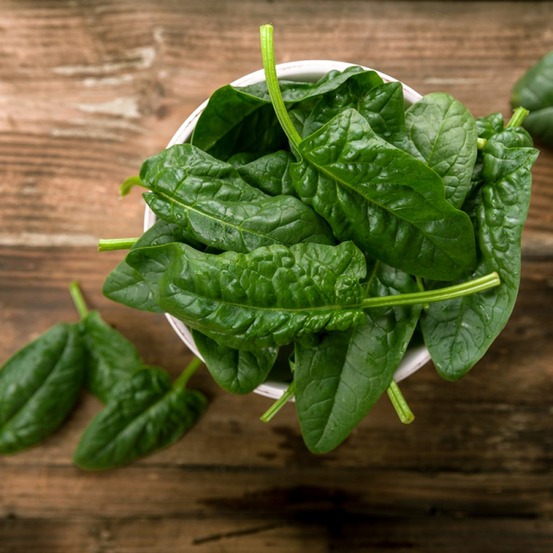 Epinard 'géant d'hiver' le sachet de 1000 graines environ (15g)