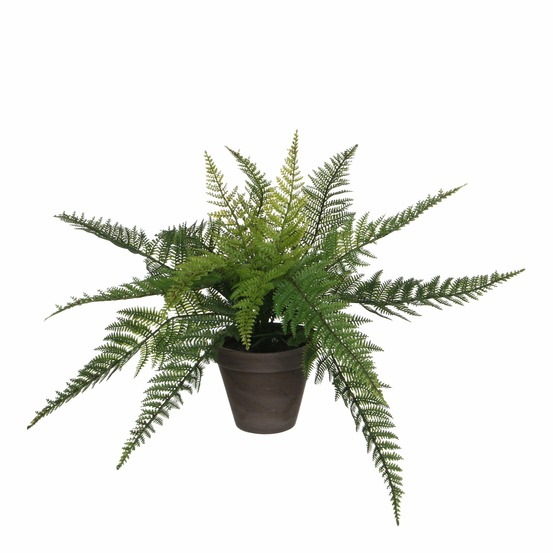 Mica decorations plante artificielle fougère - h38 x ø50 cm - vert