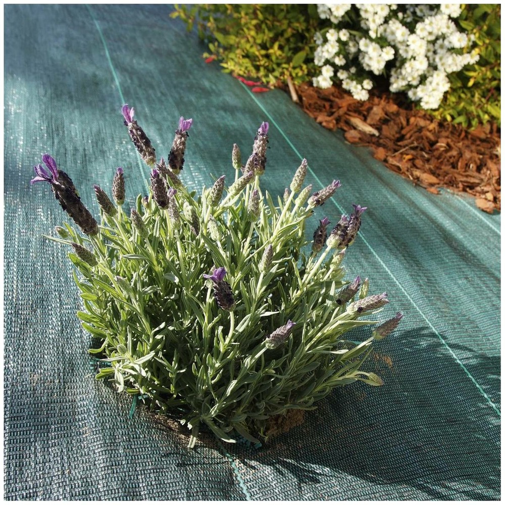 Toile de paillage tissée 90 g / m² 1.6 m x 20m