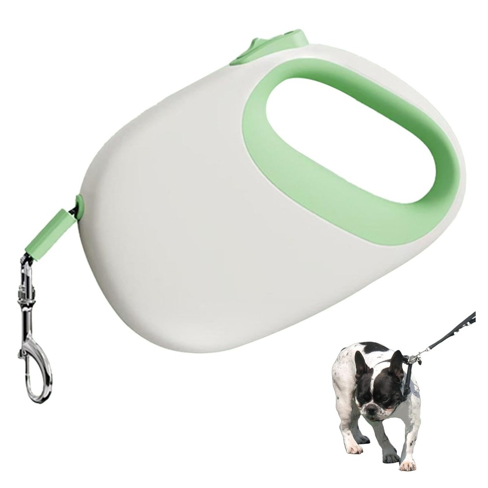 Laisse rétractable chien 5m - robustesse et portabilité