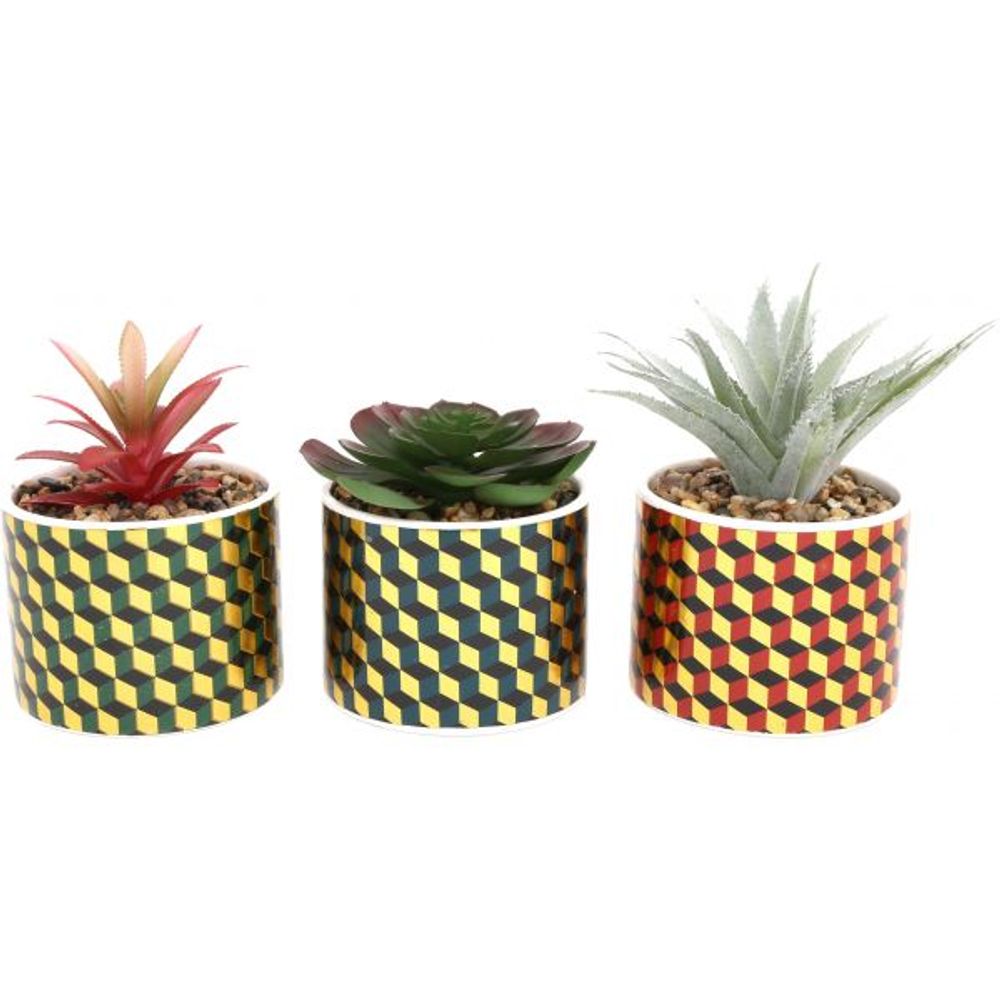 Plantes succulentes artificielles cubic (lot de 3)