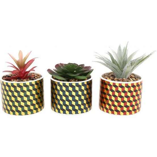 Plantes succulentes artificielles cubic (lot de 3)