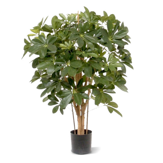 Schefflera plante artificiel de 80cm