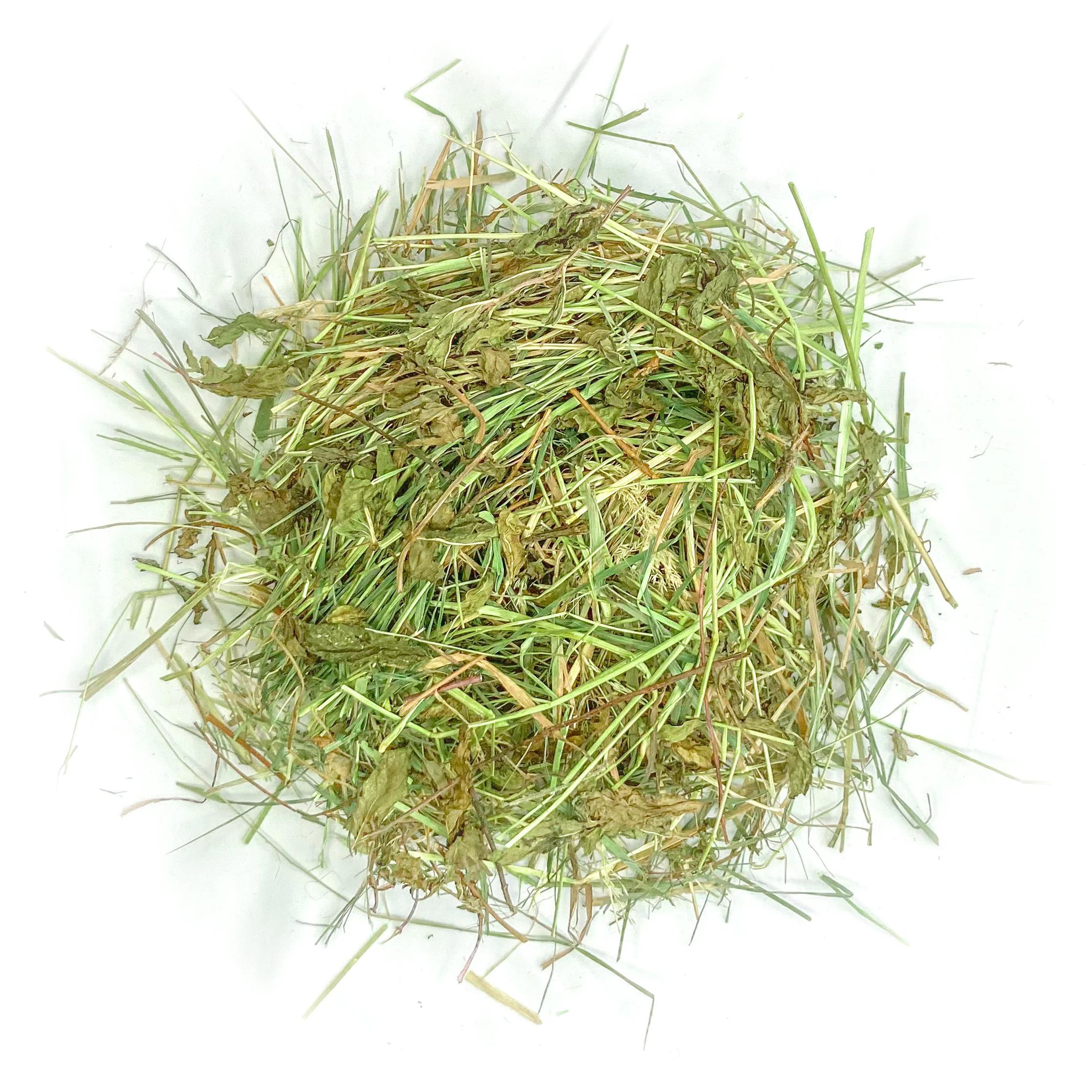 Foin aromatisé aux feuilles d'ortie pour lapins et rongeurs