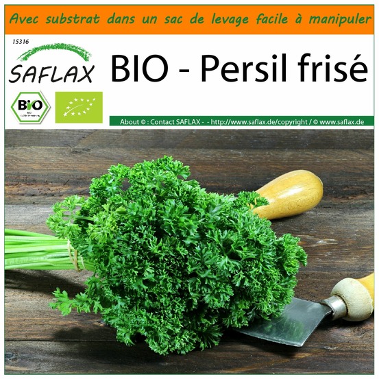 Garden in the bag - bio - persil frisé - 800 graines - petroselinum crispum