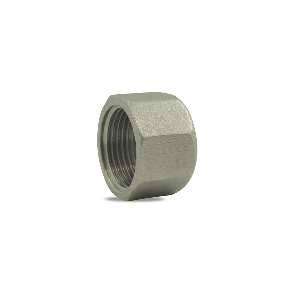 Bouchon femelle en inox 316 - 4''