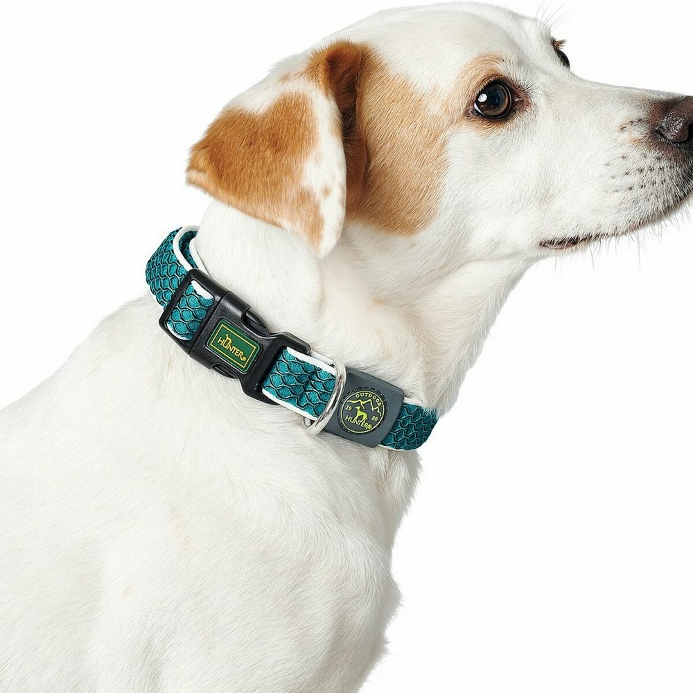 Collier pour chien hunter basic fil taille m citron (33-50 cm)