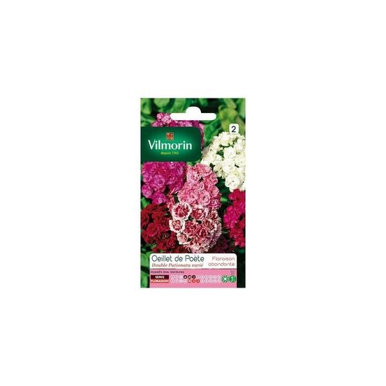 Sachet graines oeillet de poète double pationata varié