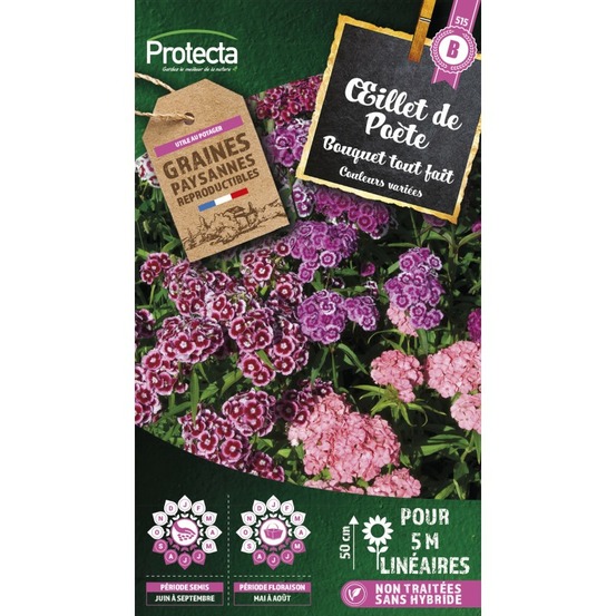 Graines paysannes - oeillet de poéte en mélange