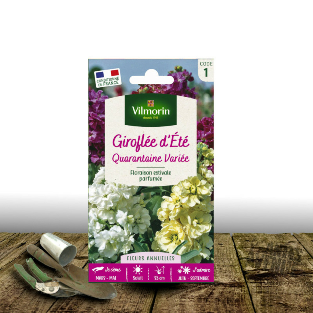 Graines de giroflée quarantaine double variée - vilmroin sachet