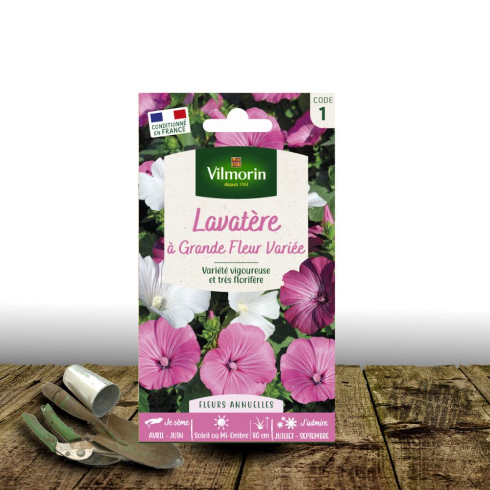 Graines de lavatère à grandes fleurs - vilmorin sachet