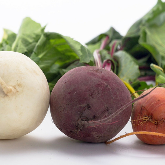 Graines de betterave arc en ciel en mélange - vilmorin sachet