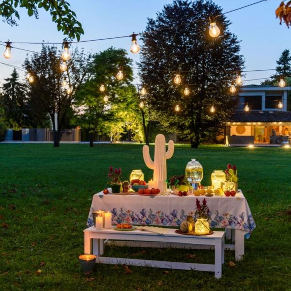 Guirlande lumineuse guinguette 12m 30 ampoules transparente blanc chaud chic lotti