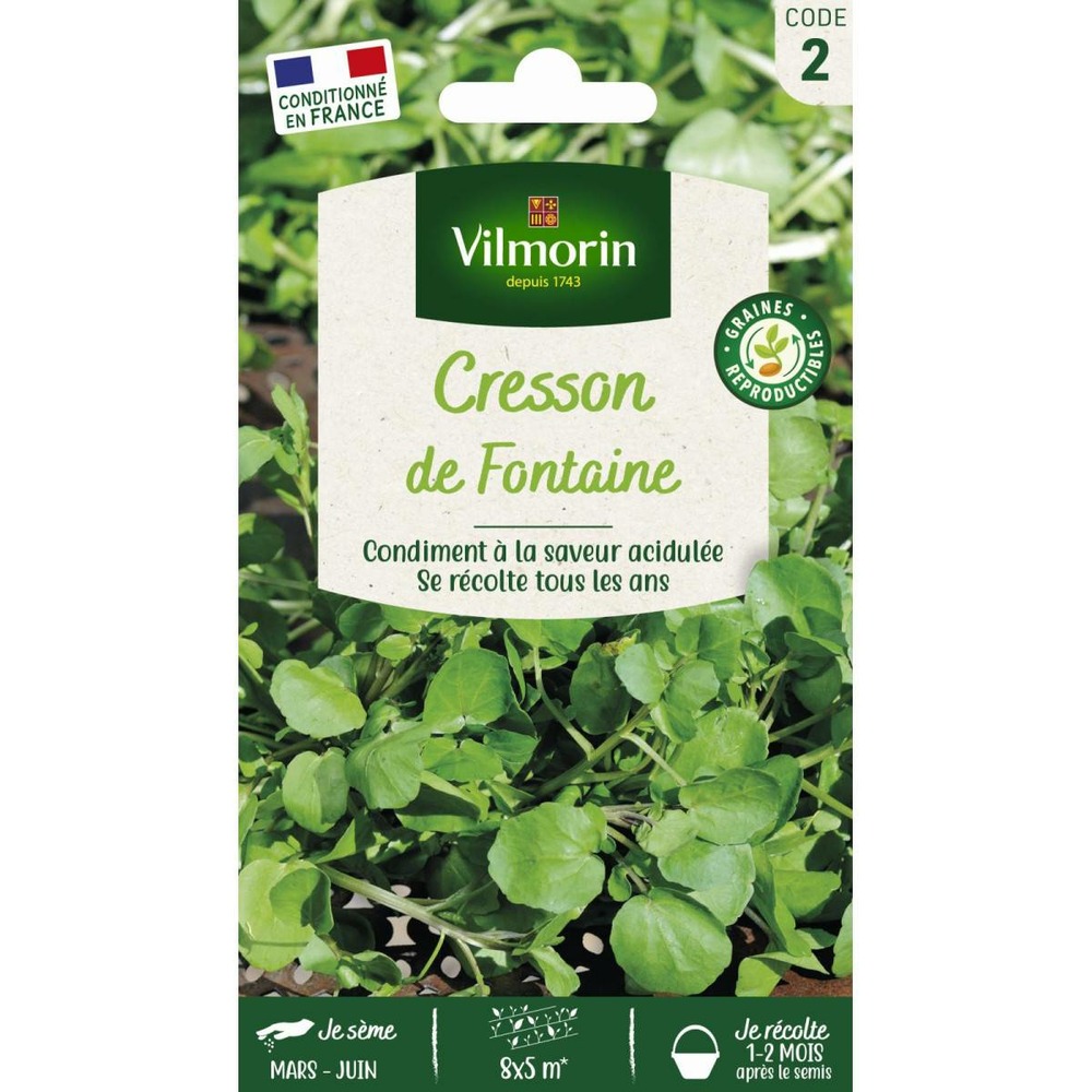 Sachet graines cresson de fontaine à larges feuilles