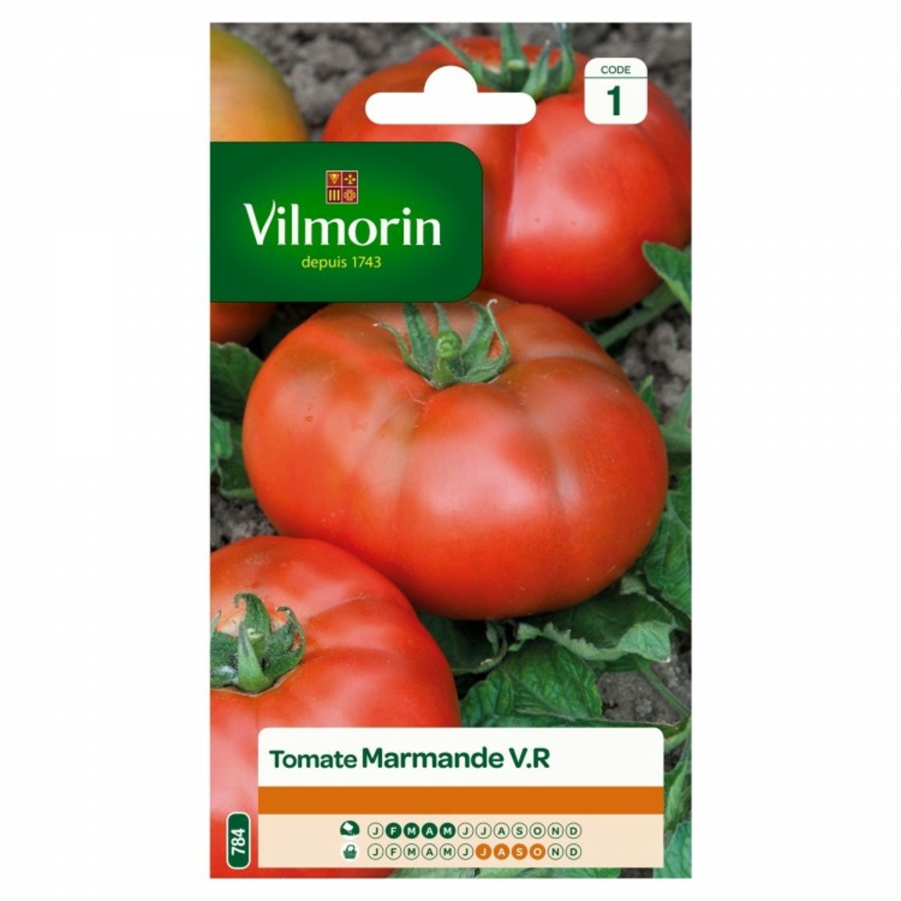 Sachet graines tomate marmande