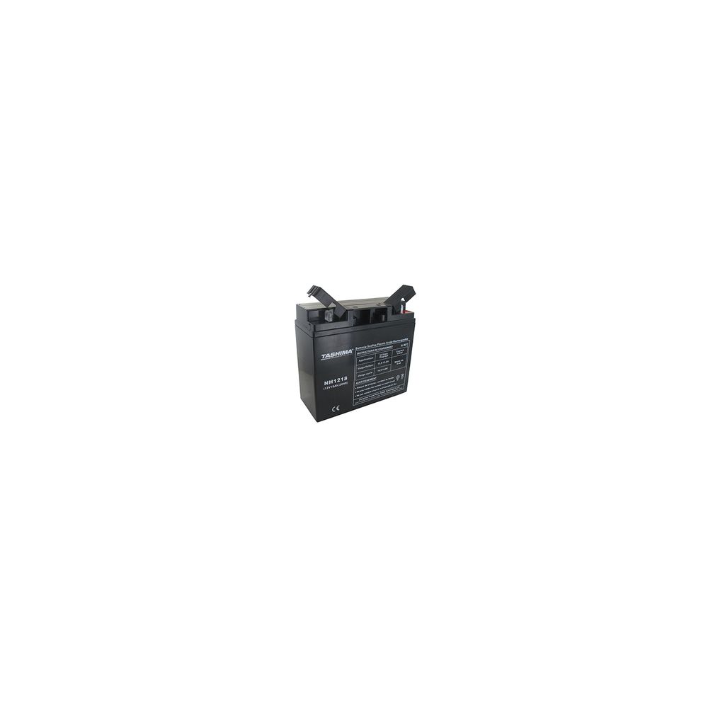 Batterie motoculture gel/agm tashima 12v, 18a adaptable pour castelgarden, honda et stiga. L: 181, l: 76, h: 167, + à droite. -