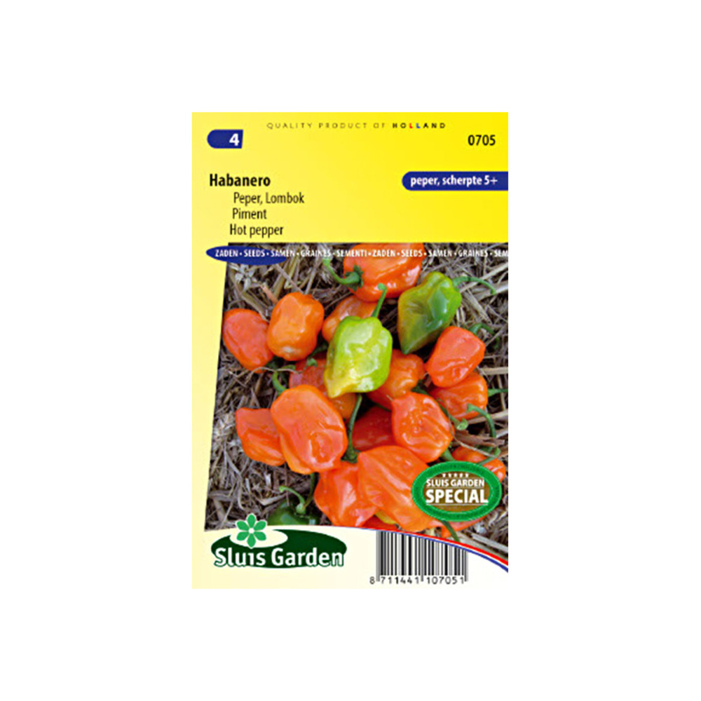 Piment antillais 'habanero' le sachet de 40 graines environ (0,2g)