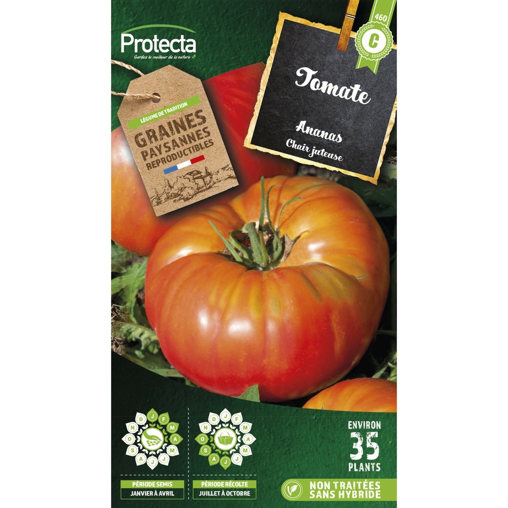 Graines paysannes - tomate ananas