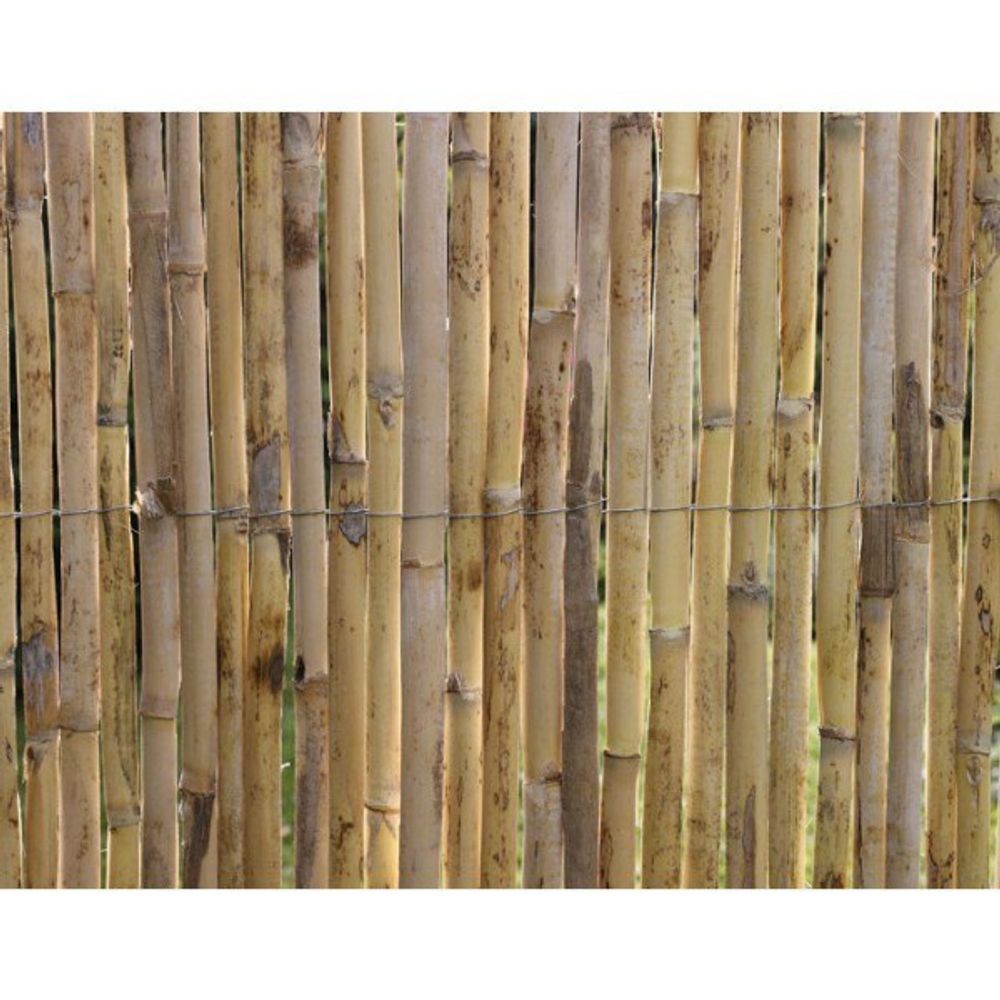 Canisse - - roseaux fendus naturels premium - 3 x 1 m