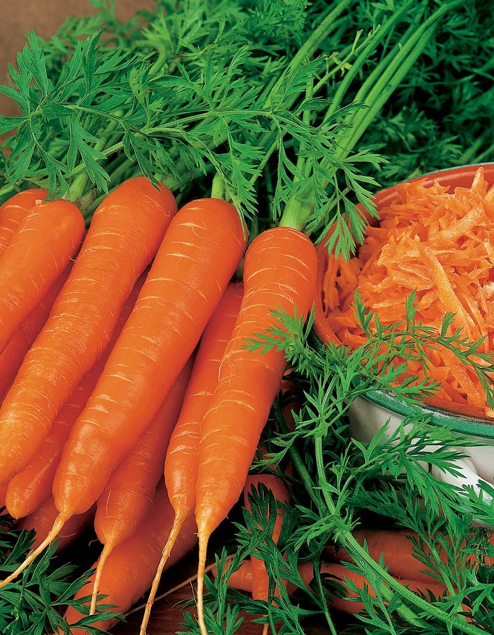 Carotte scarla - 5 g