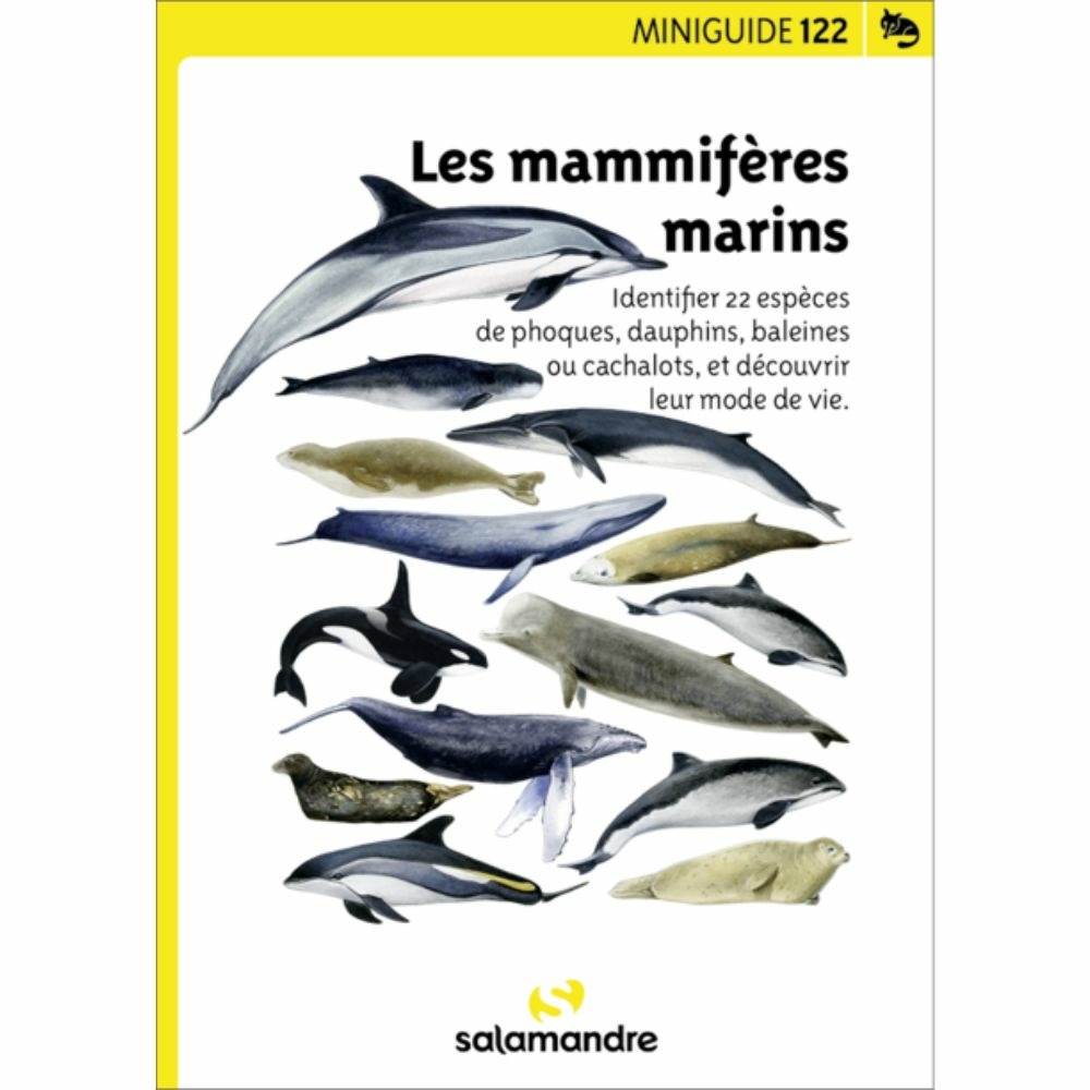 Miniguide 122 - les mammifères marins