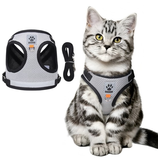 Harnais réfléchissant pour chat s