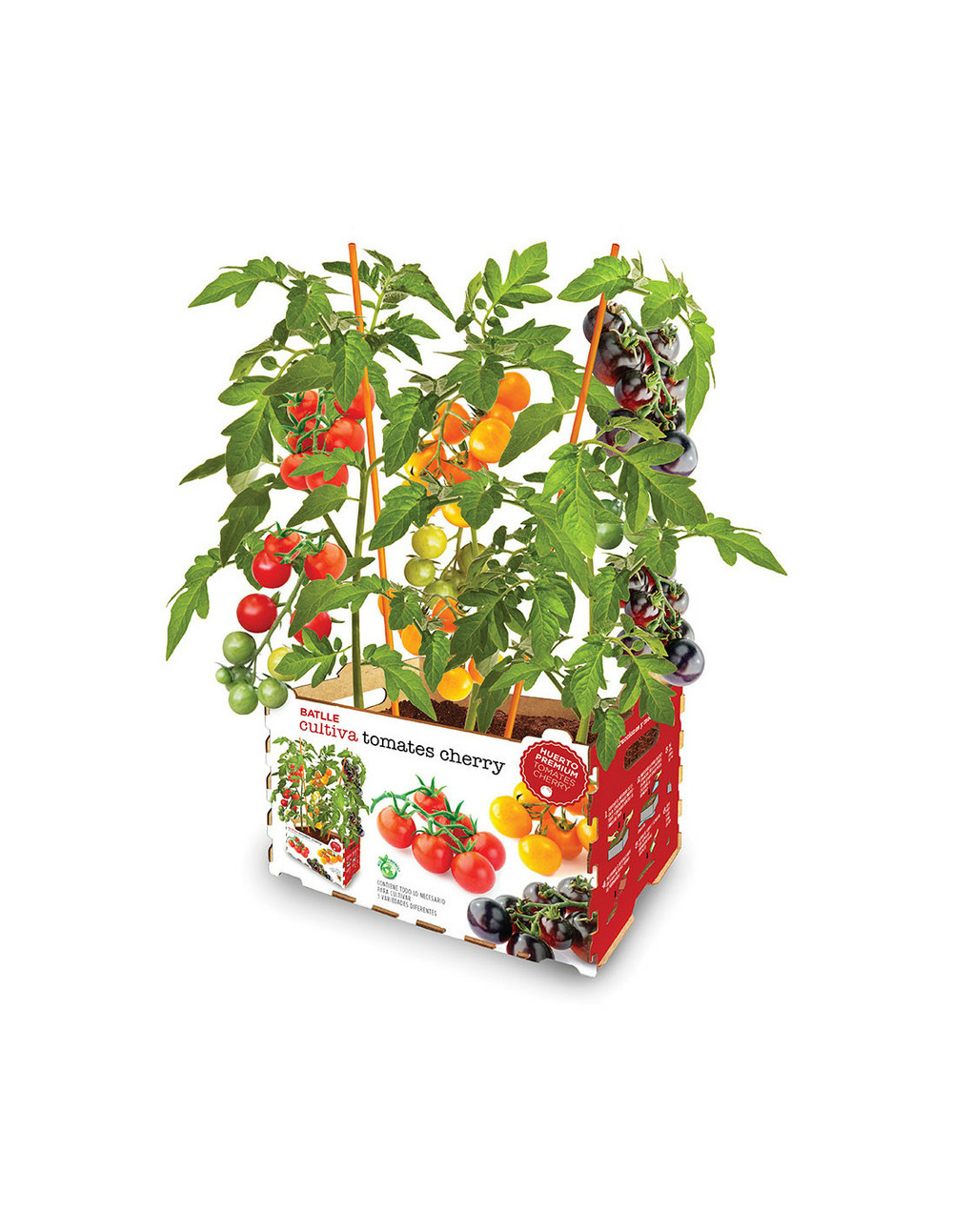 Boîte à tomates batlle colors.