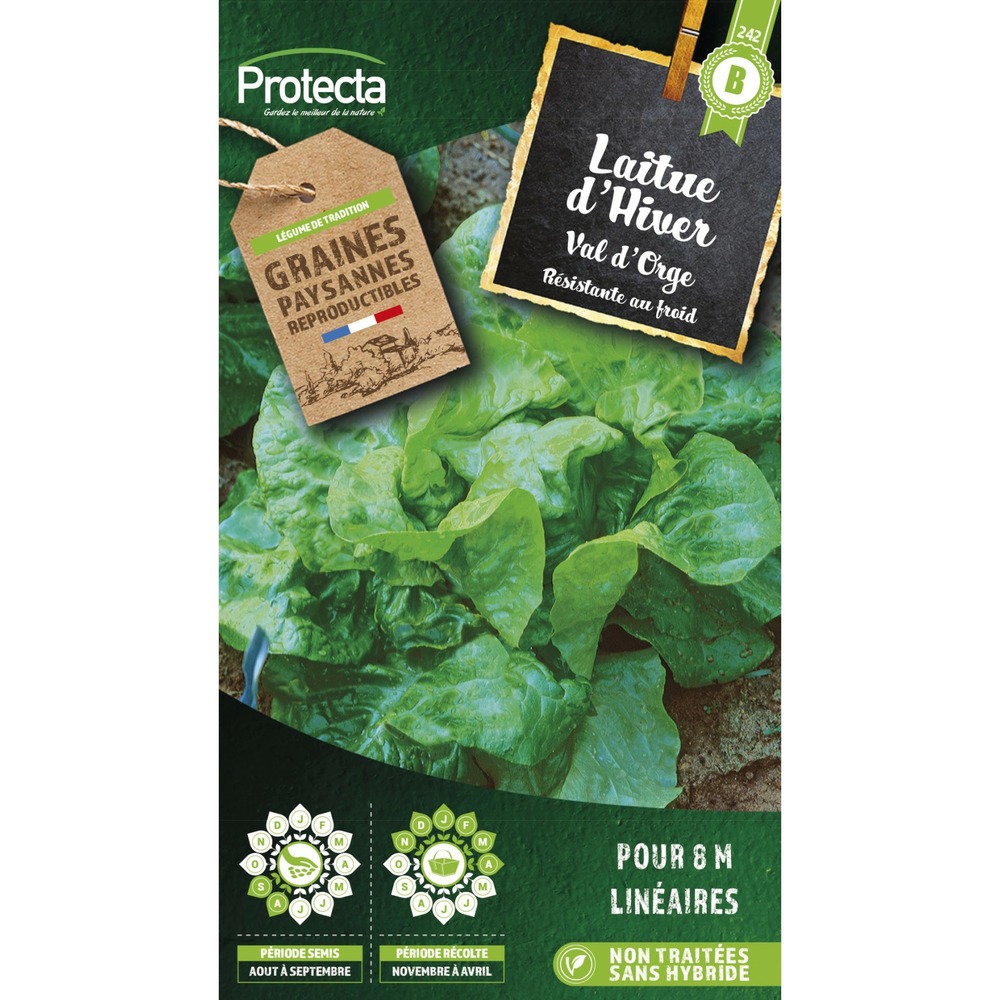 Graines paysannes - laitue d'hiver val d'orge