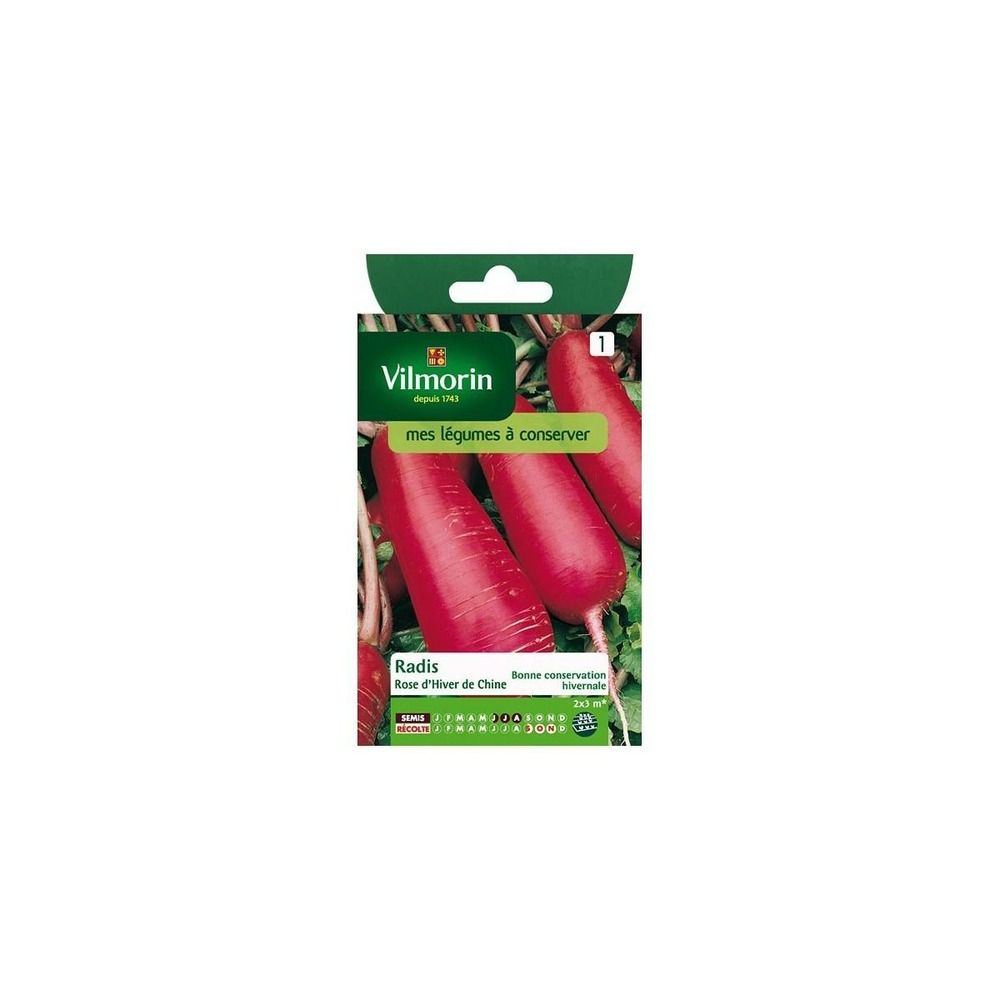 Sachet graines radis rose d'hiver de chine