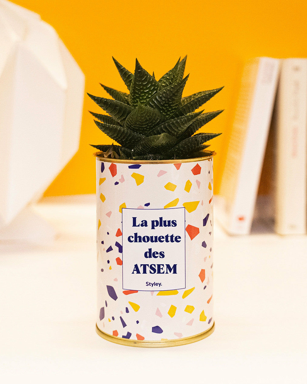 Plante à message - la plus chouette des atsem - cactus