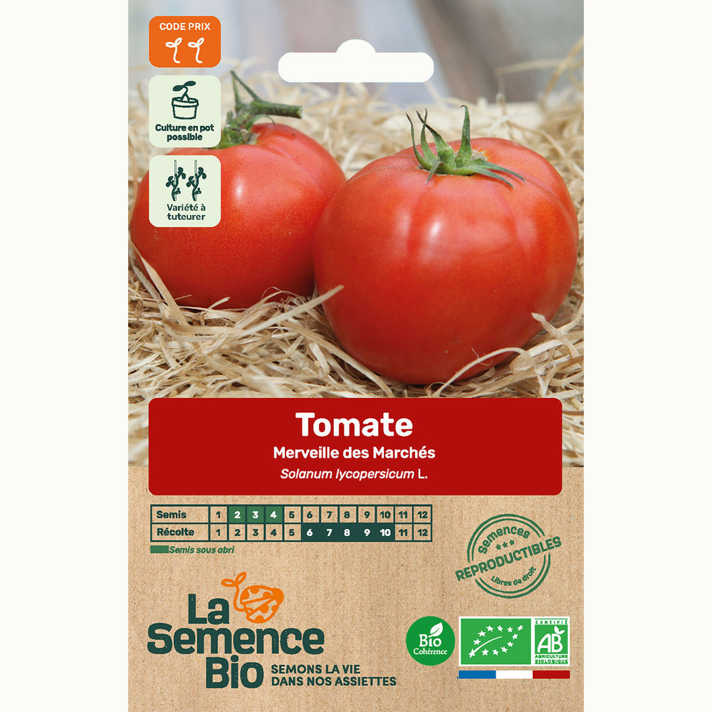 Tomate merveille des marchés - graines bio