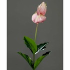 Medinilla magnifica artificiel H 73 cm 1 fleur 4 feuilles en piquet