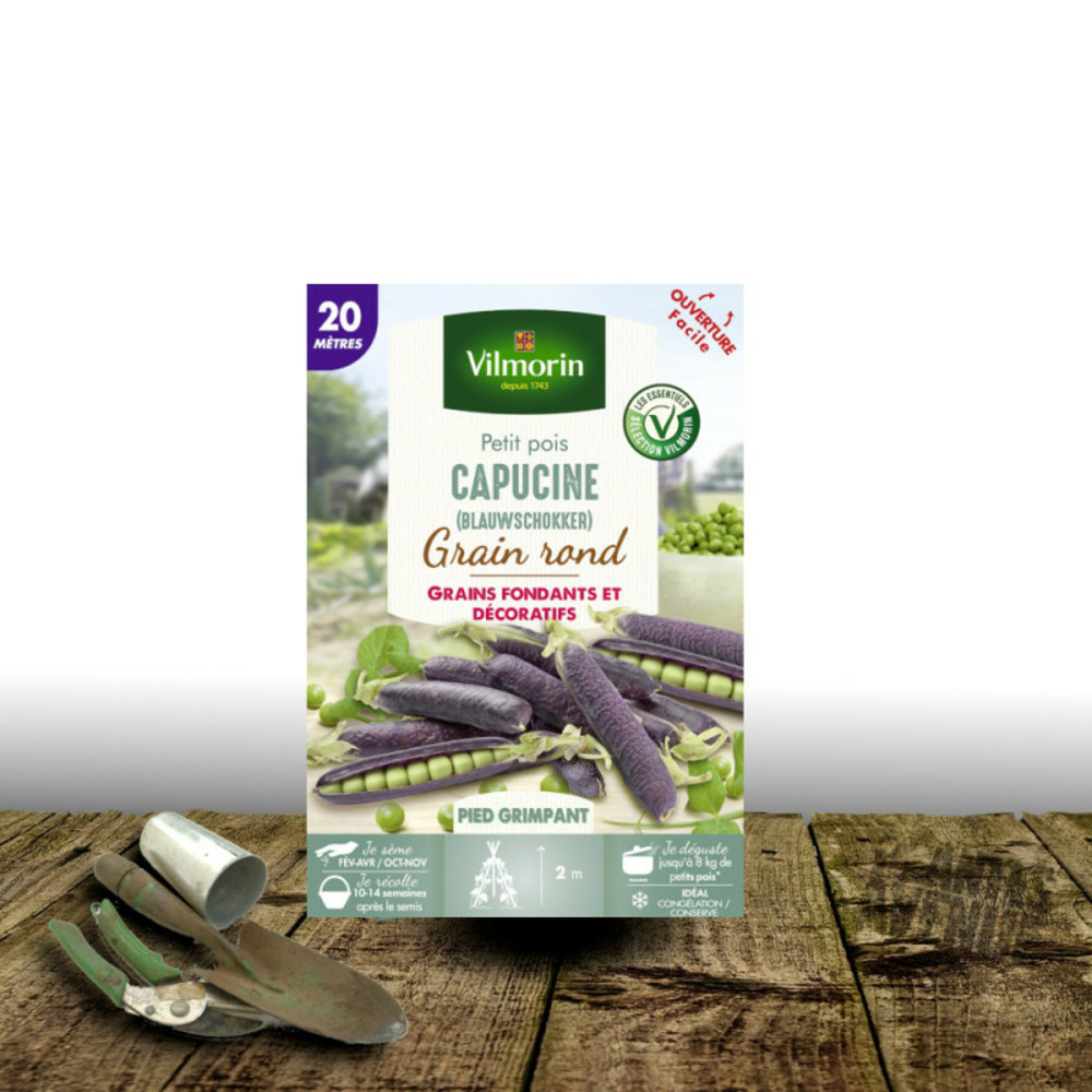 Graines de pois grimpant grain rond capucine (blauwshokker) - vilmorin boite - 20 mètres
