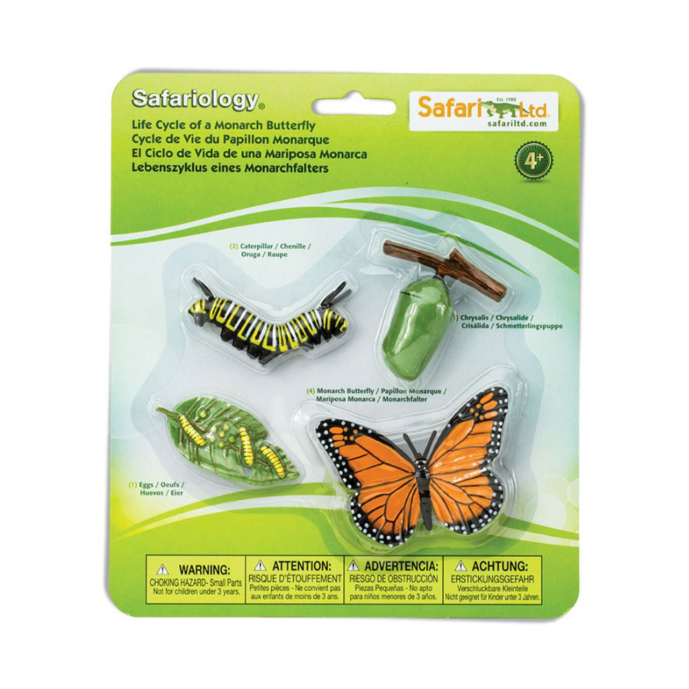 Figurines cycle de vie - papillons