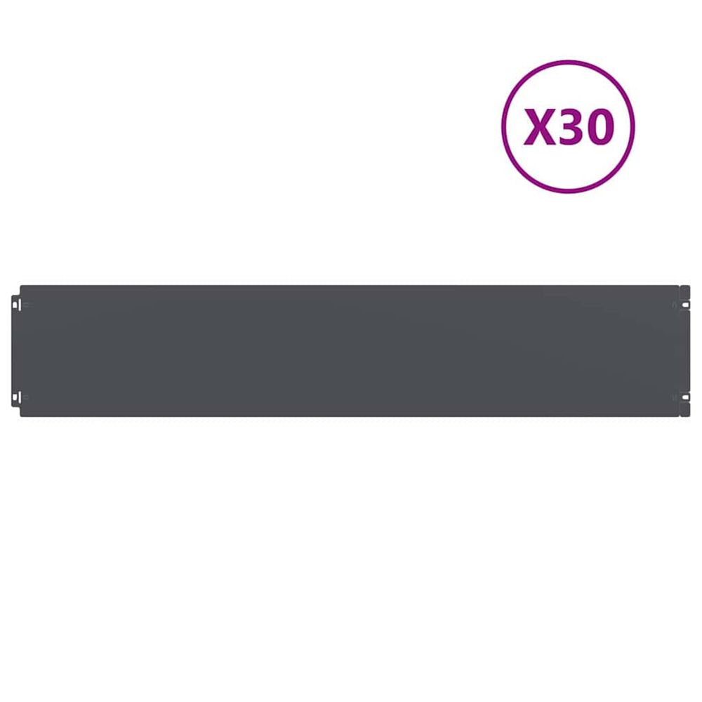 Bordure de pelouse 30 pc 20 x 103 cm acier anthracite
