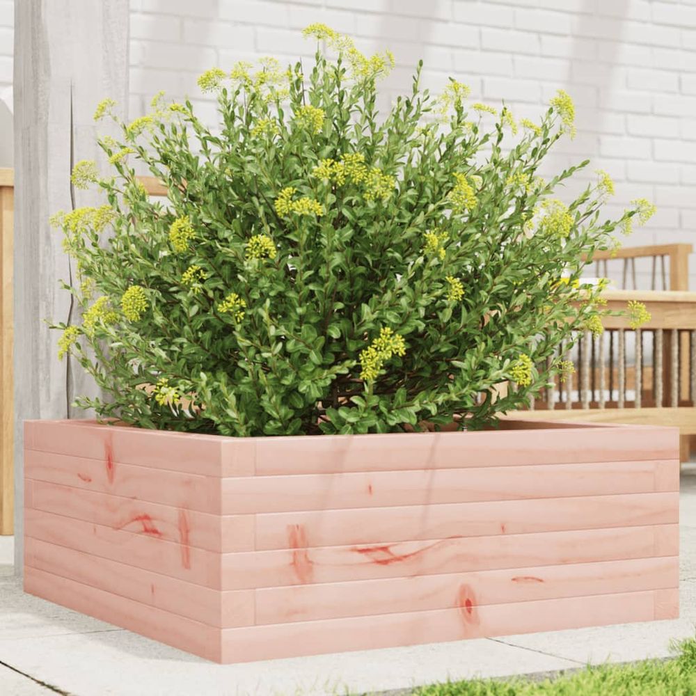 Potager carré en bois douglas massif pour jardin balcon terrasse 60x60cm